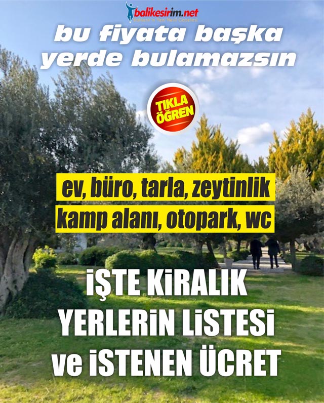 Zeytinlik Kir