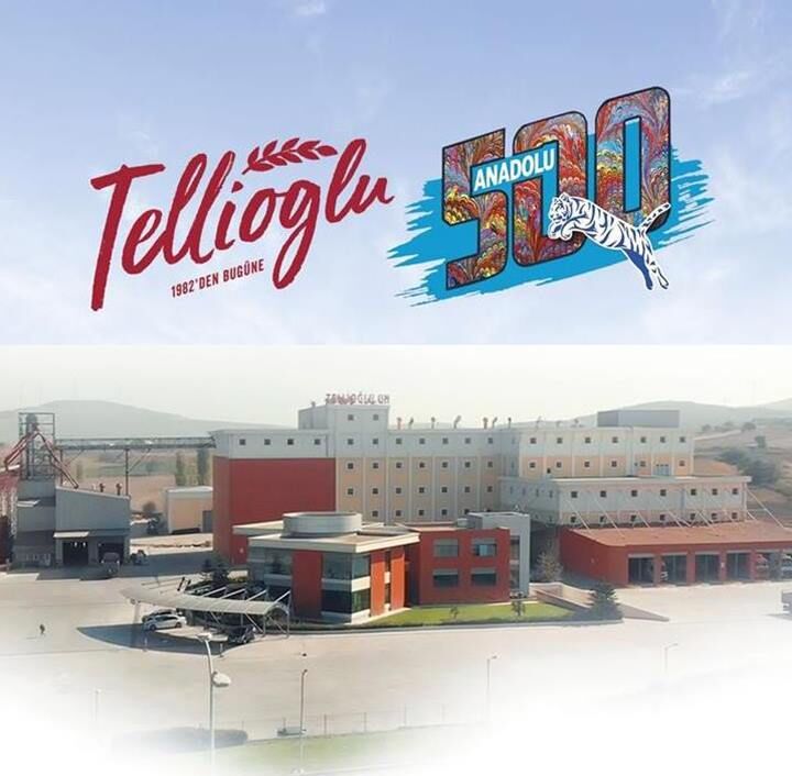 Tellioglu 500