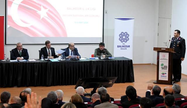 Sokak Hayvanlari Top (4)