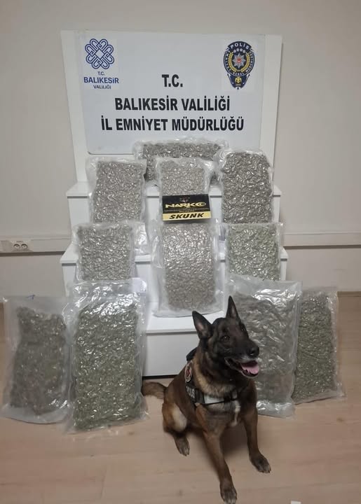 Esrar Narkotik Kopek (2)