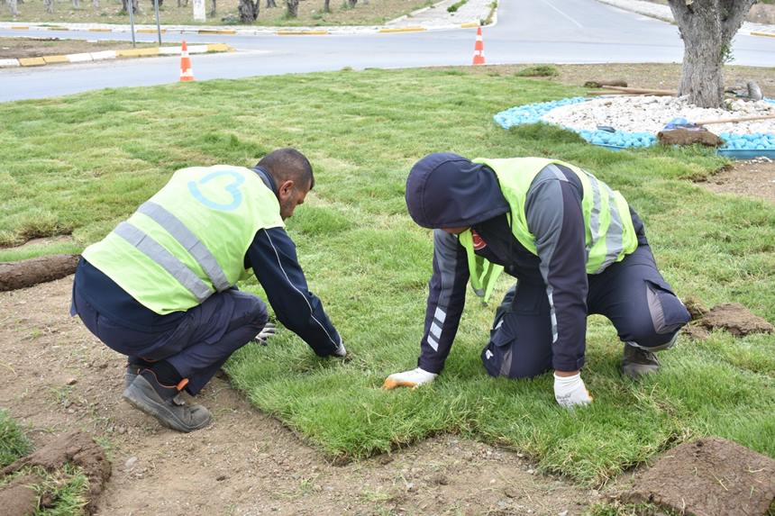 Cim Uretimi Yesil Balikesir (2)