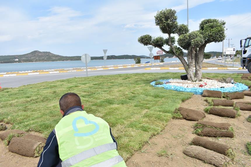 Cim Uretimi Yesil Balikesir (4)