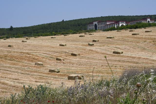 Tarla Traktor Ekim (2)