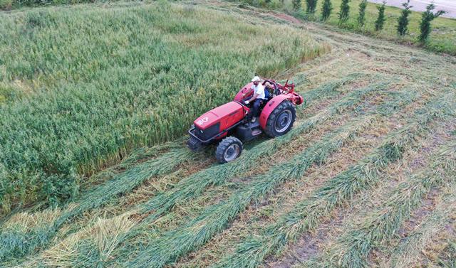 Tarla Traktor Ekim (4)