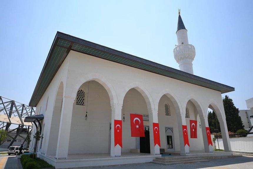 Cami Asker