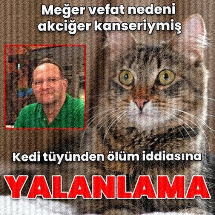 Kedi Tuyu