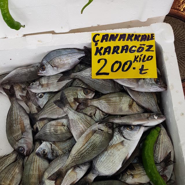 Balik Fiyat 2025 (1)