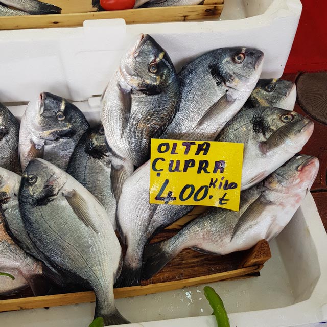 Balik Fiyat 2025 (2)