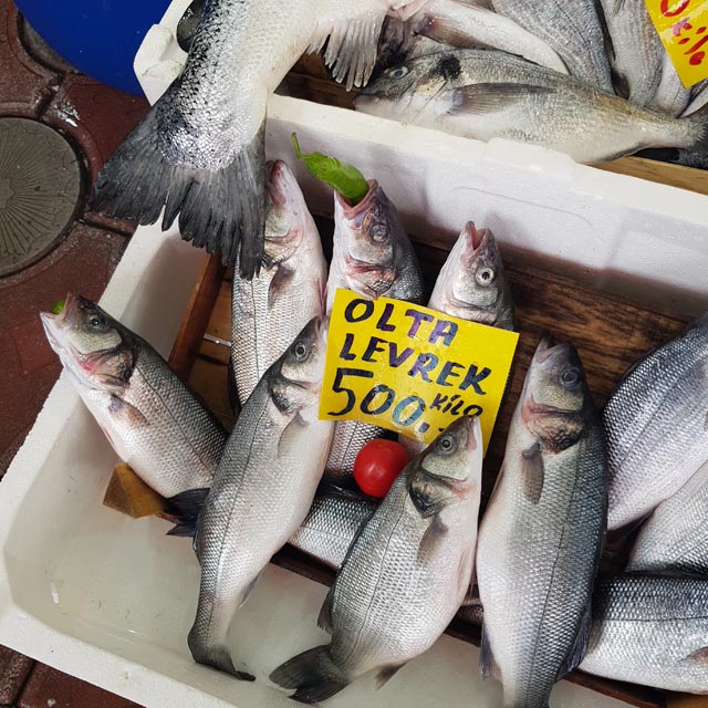 Balik Fiyat 2025 (3)