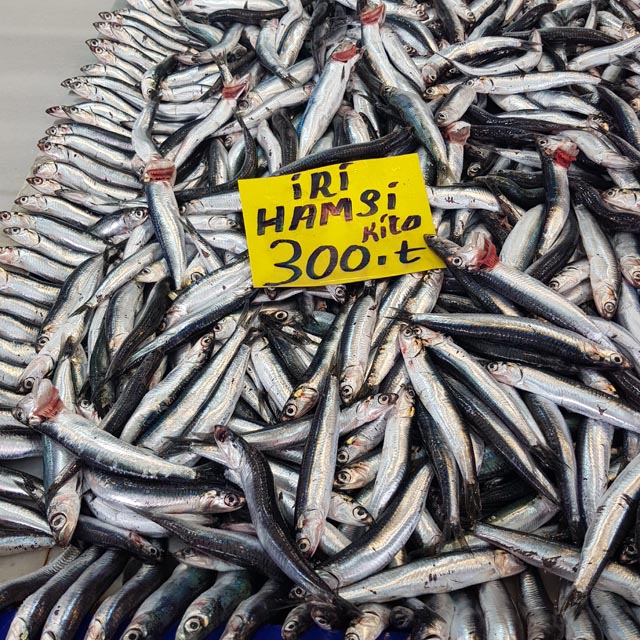 Balik Fiyat 2025 (4)