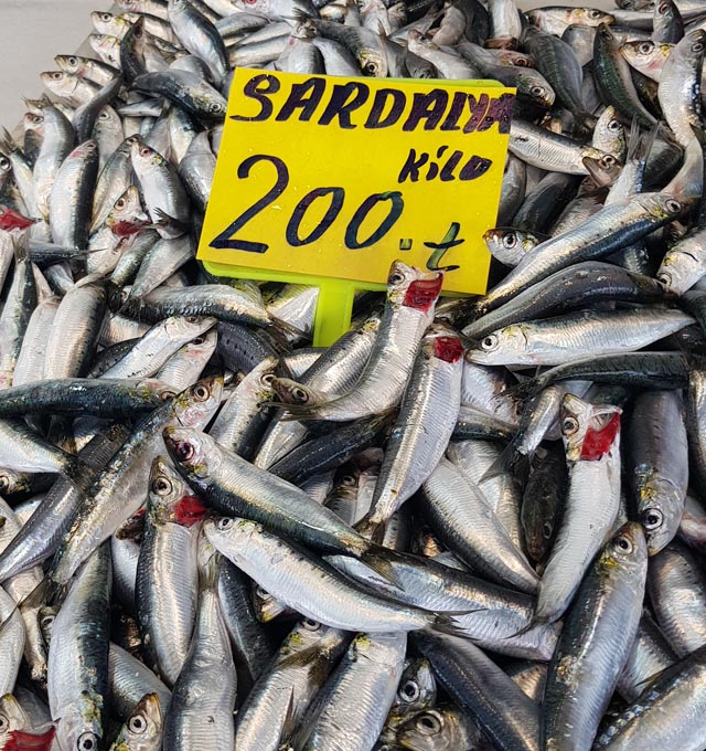 Balik Fiyat 2025 (5)