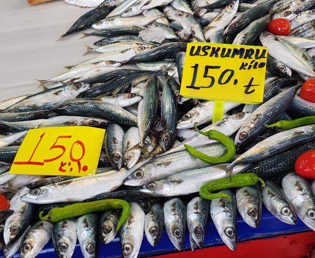 Balik Fiyat 2025 (6)