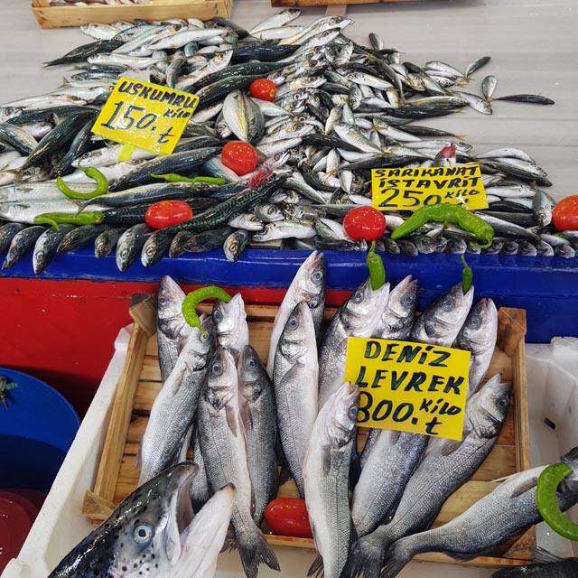 Balik Fiyat 2025 (7)