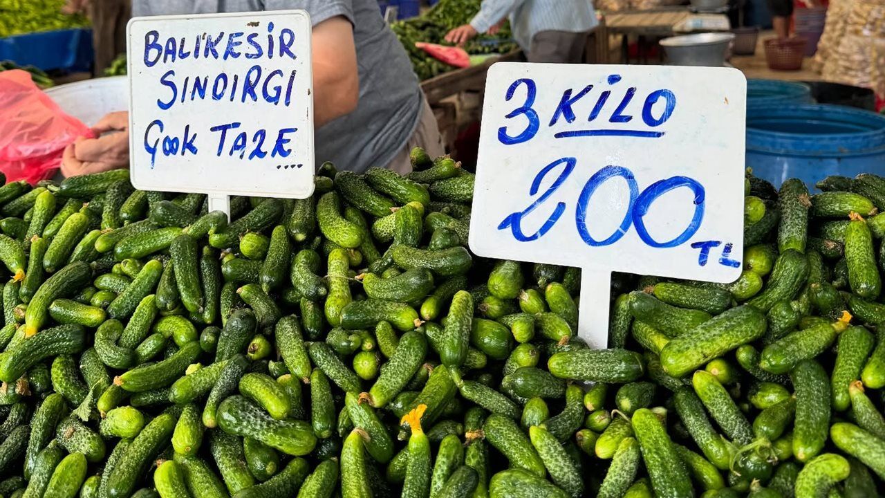Kornison Salatalik 2025