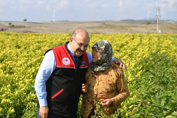 565455453 18310325590222704 1772537681737168843 N