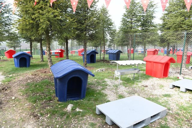 Altieylul Barinak Acisili (2)