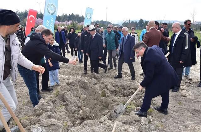 Agac Dik Baun Rektor Ogurlu