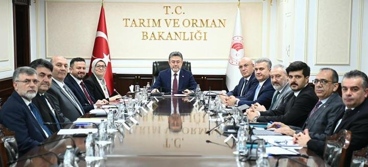 Uygur Tarim Bakani (2)