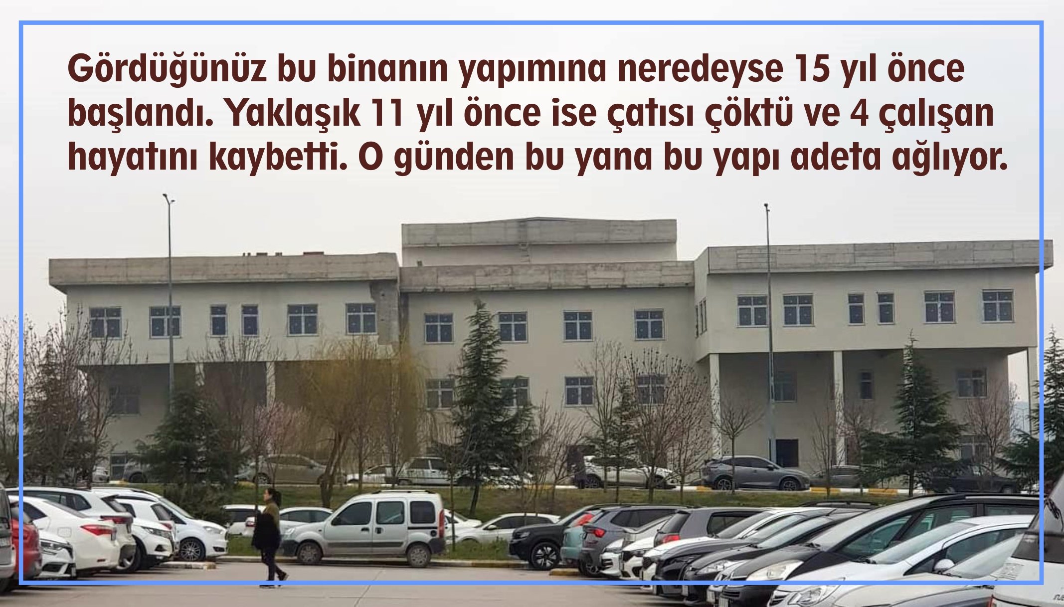 Baun Morfoloji Binasi1