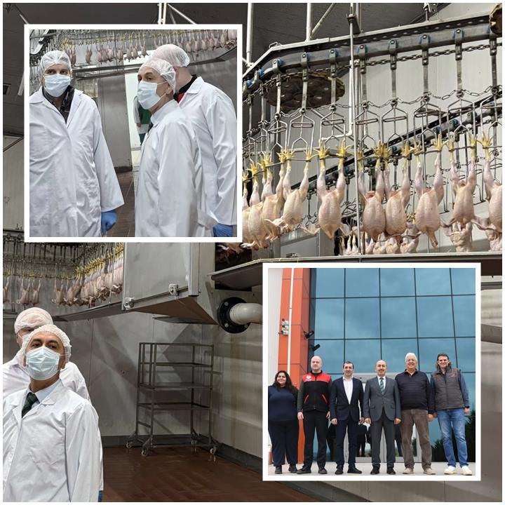 Huseyin Dusgun Pilic1