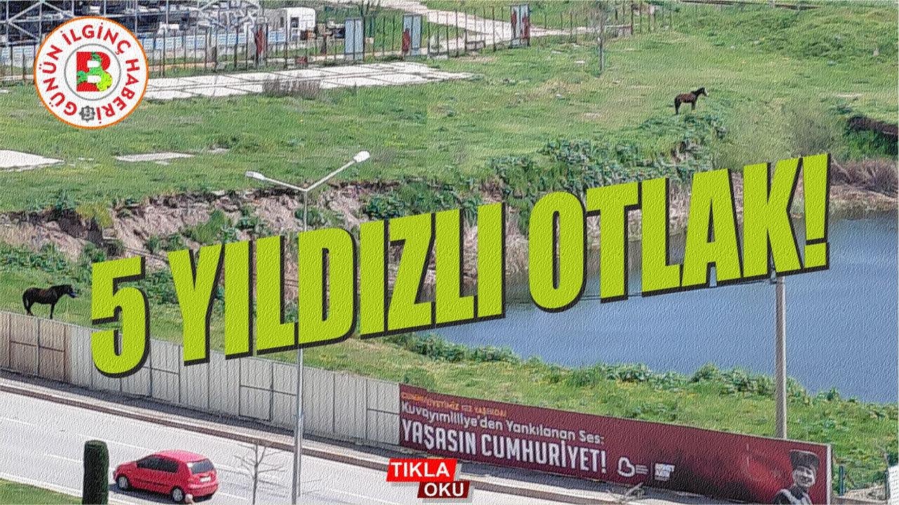 Şehrin Göbeğinde Bir "Hayalet" Hikâyesi