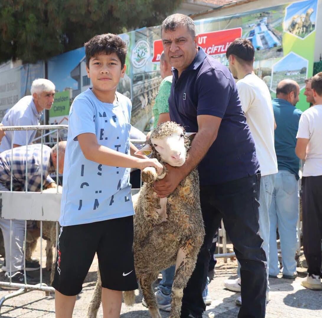 Kepsut Koyun200