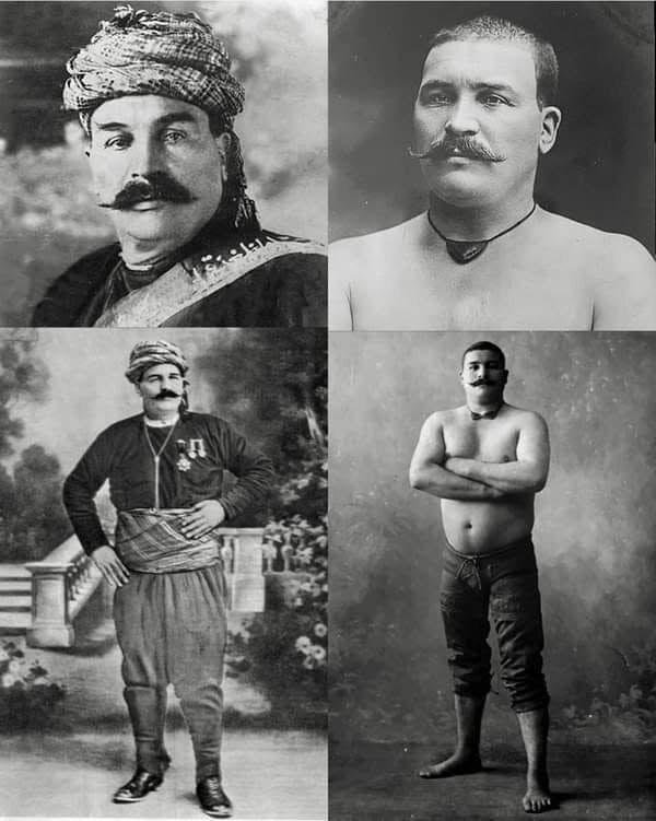 Kurtdreli Mehmet Potre