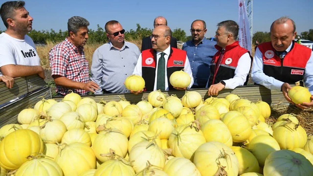 Vali Kavun Ustaoglu