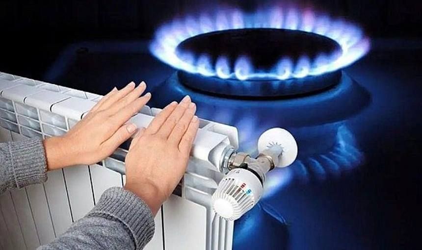 Dogalgaz Kombi Petek2