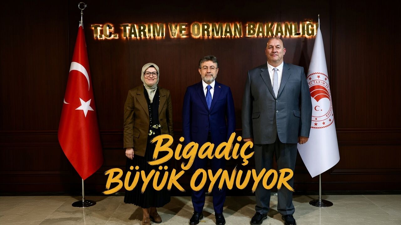 İLÇELER