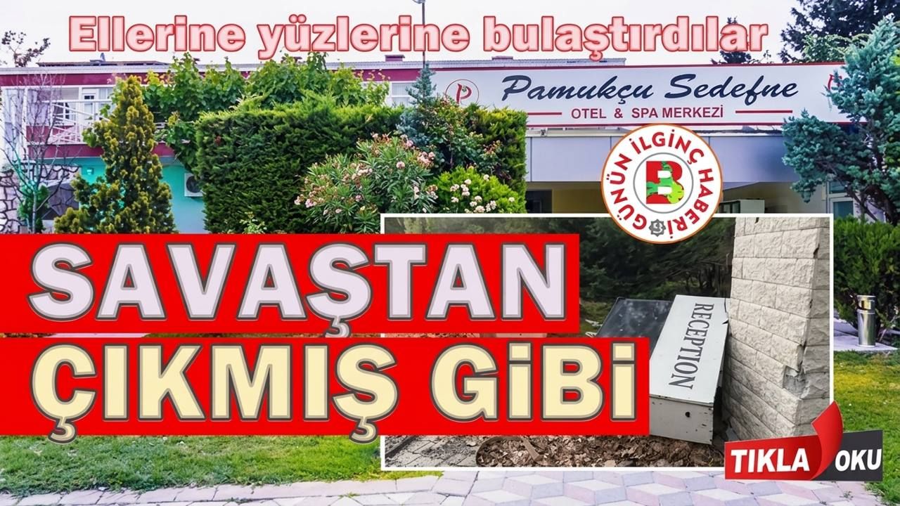 Sedefne Pamukcu Vira