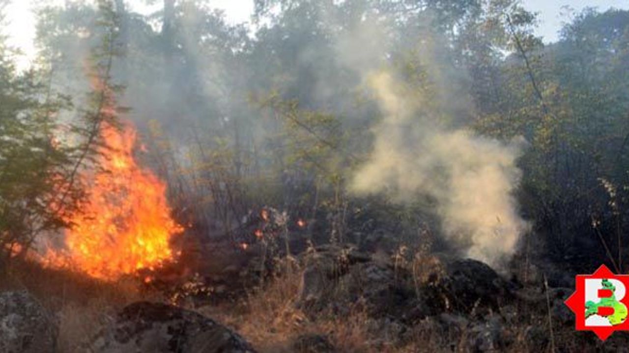 Savaştepe'deki orman yangını kontrol altında