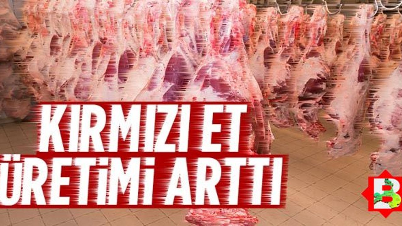 Türkiye'nin kırmızı et üretimi arttı