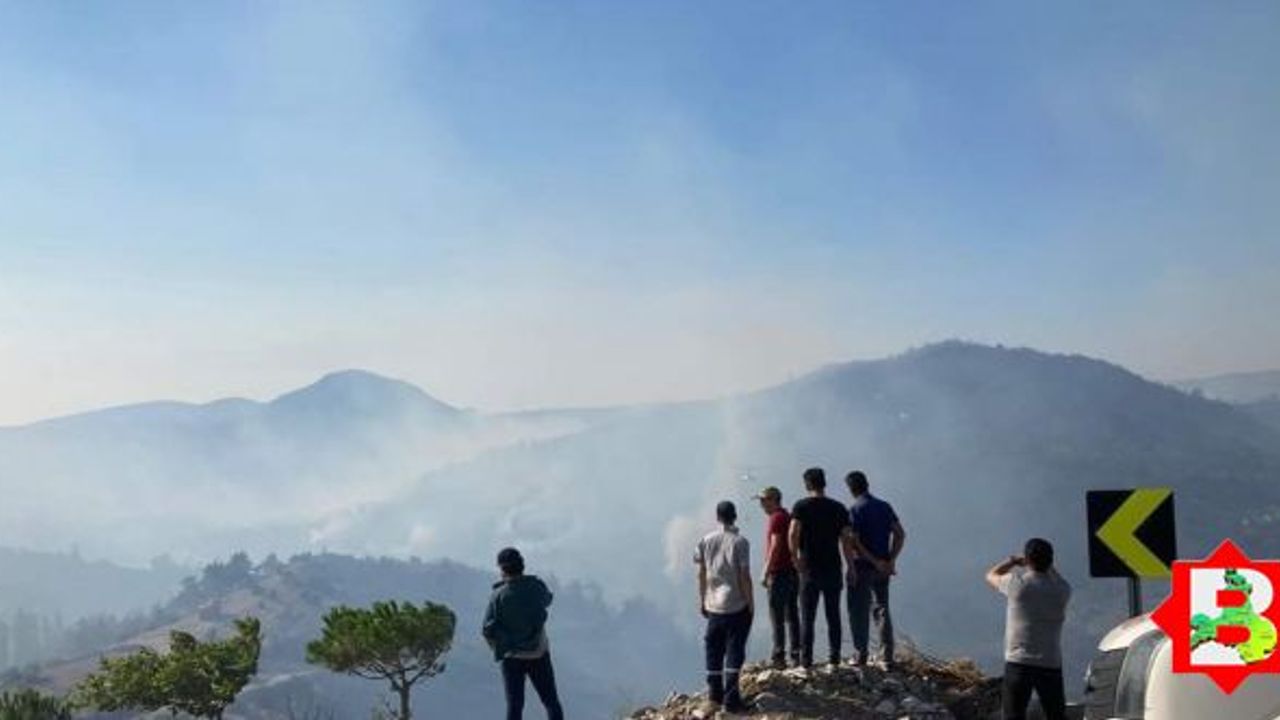 Kepsut'taki orman yangını söndürüldü