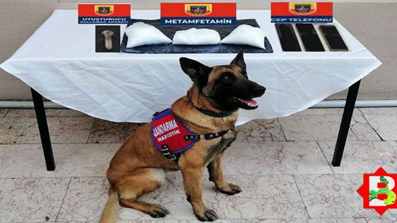Jandarma narkotik köpeğinden bingo
