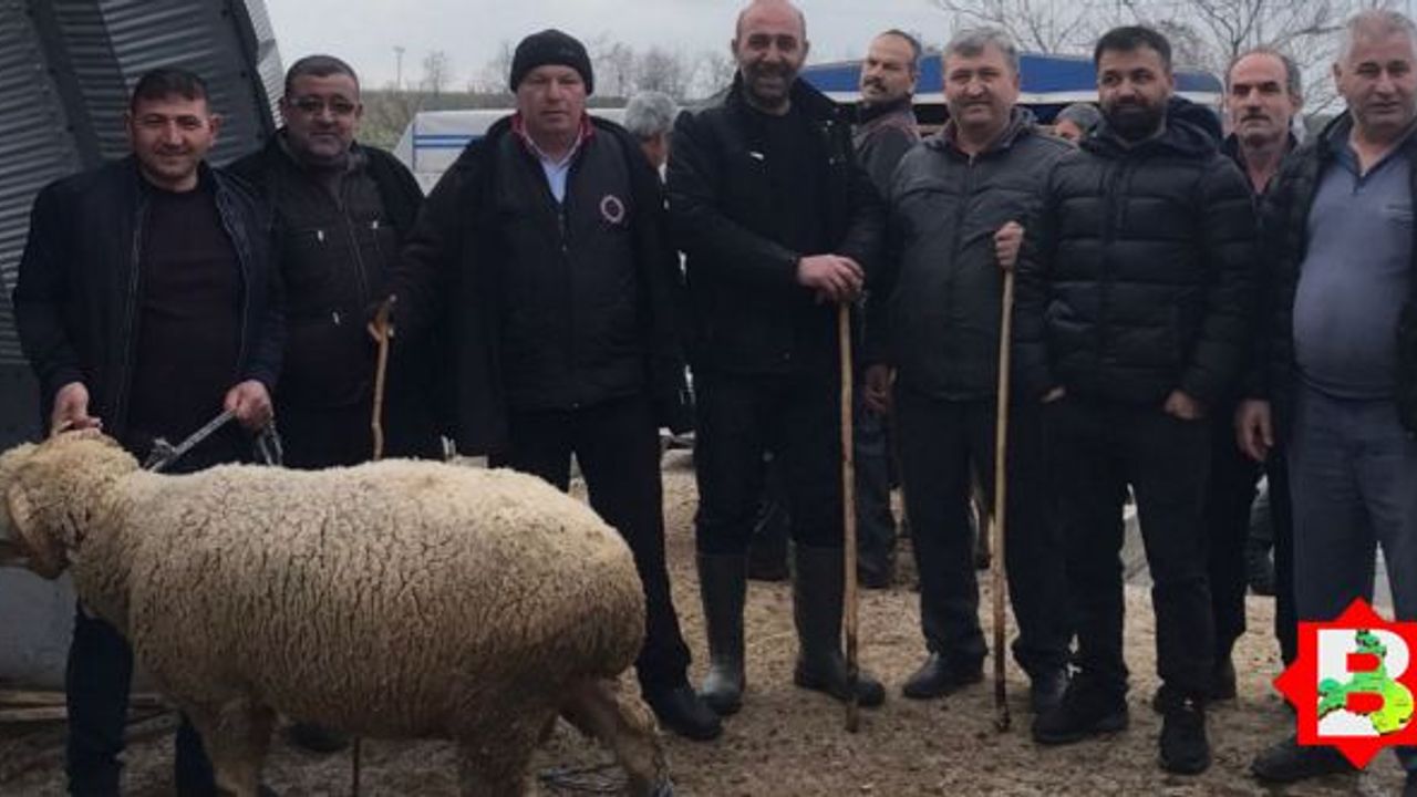 Balıkesir'deki besicilerin yüzünü güldüren haber