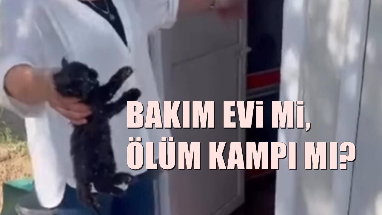 Altıeylül'de skandal görüntüler ortaya çıktı!