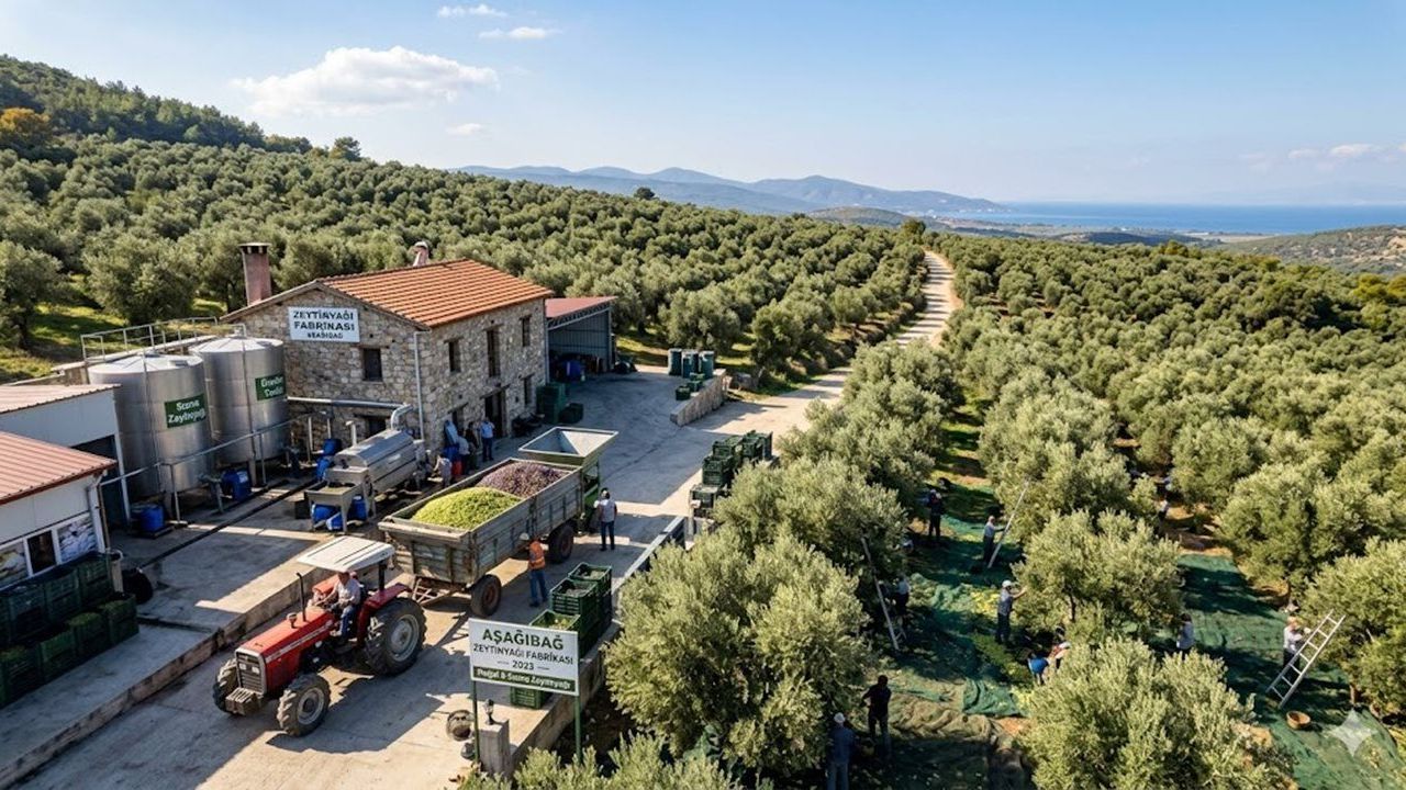 ZEYTİNYAĞI SEKTÖRÜNDE TEKELLEŞME ALARMI