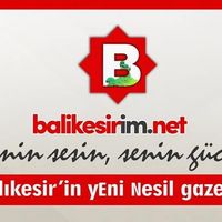 HABER SİTESİ, ALAN ADI