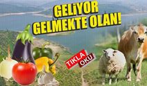 BALIKESİR'DE SU KRİZİ KAPIDA