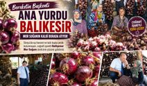 TÜRKİYE'DE TEK ERDEK'TE YETİŞİYOR