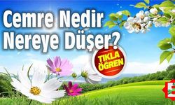 Cemre düştü mü? İşte 2023 Cemre düşme tarihleri.