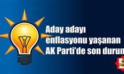 Aday enflasyonu yaşanan AK Parti'de 3 vekilin yeri garanti!