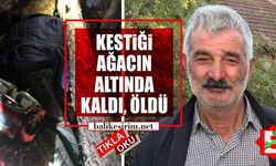 Kestiği ağacın altında kalarak hayatını kaybetti