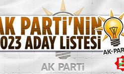 AK Parti 2023 il il milletvekili aday listesi