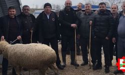 Balıkesir'deki besicilerin yüzünü güldüren haber