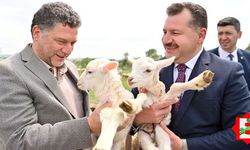 Balıkesir tarım ve hayvancılıkta zirveye göz dikti