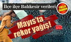 Balıkesir, Türkiye rekoru kırdı!