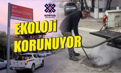 Altıeylül'de ilaçlama çalışmaları aralıksız sürüyor