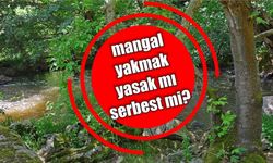 Balıkesir ormanlara giriş ve mangal yasak mı serbest mi?